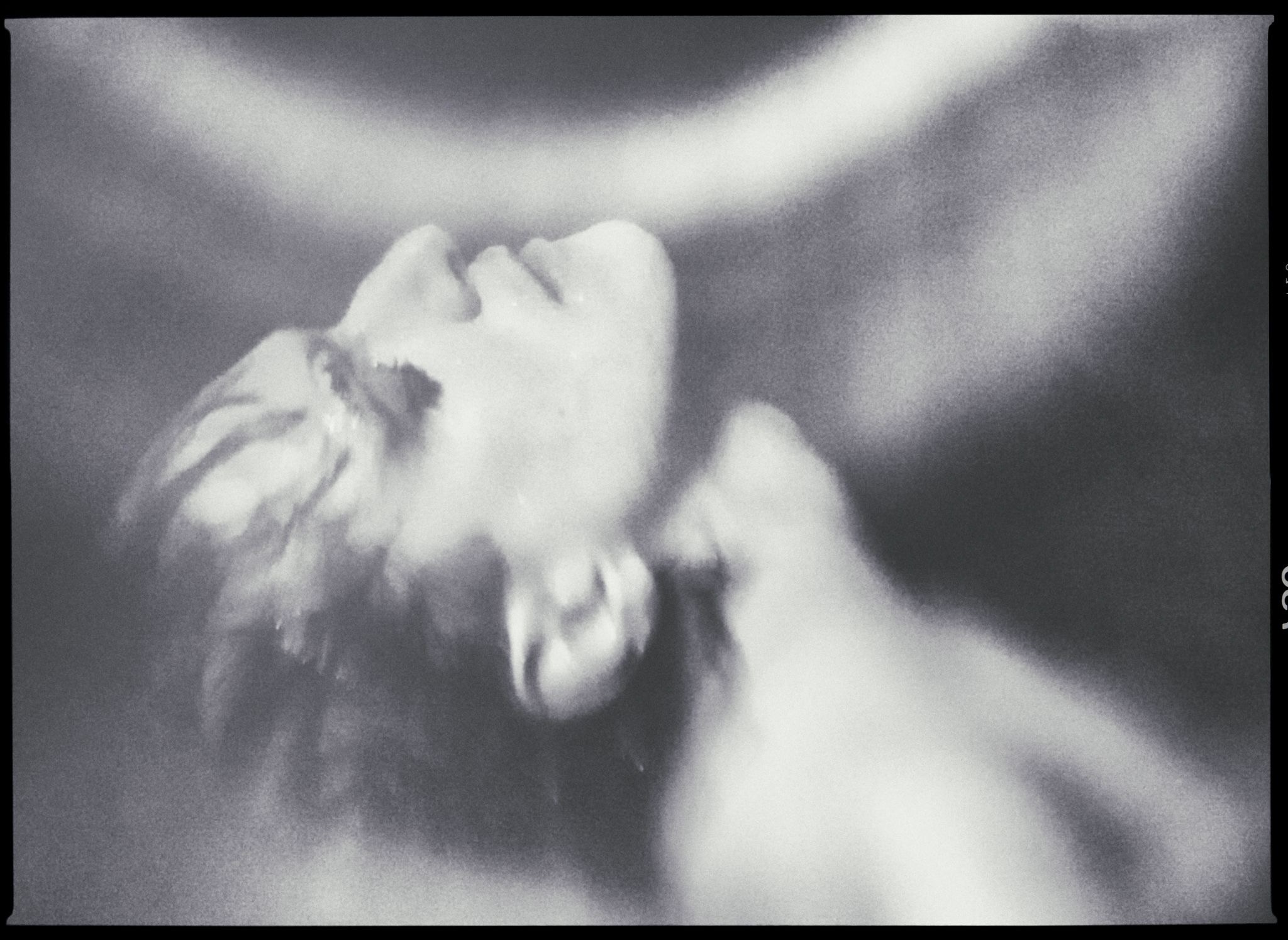 Künstlerisches Schwarz-Weiß-Foto: Verschwommene Nahaufnahme einer Person mit nach hinten geneigtem Kopf und geschlossenen Augen, das Gesicht teils verdeckt; weiche, wellenartige Formen im Hintergrund erzeugen eine traumhafte, meerartige Atmosphäre, passend zum Titel „Mariannes erstes Mal am Meer“.